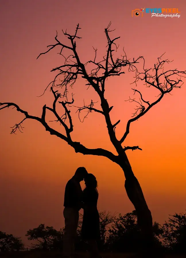 Silhouette of a couple forehead to forehead beneath a bare tree against an orange sunset
