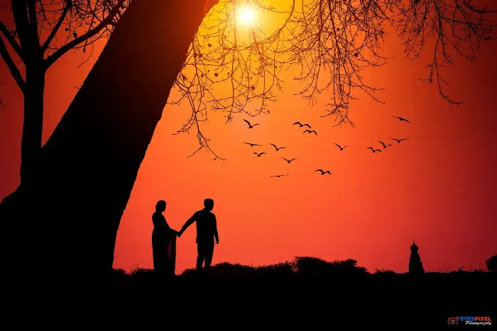 Silhouette of a couple holding hands beneath a tree at sunset, birds across an orange sky
